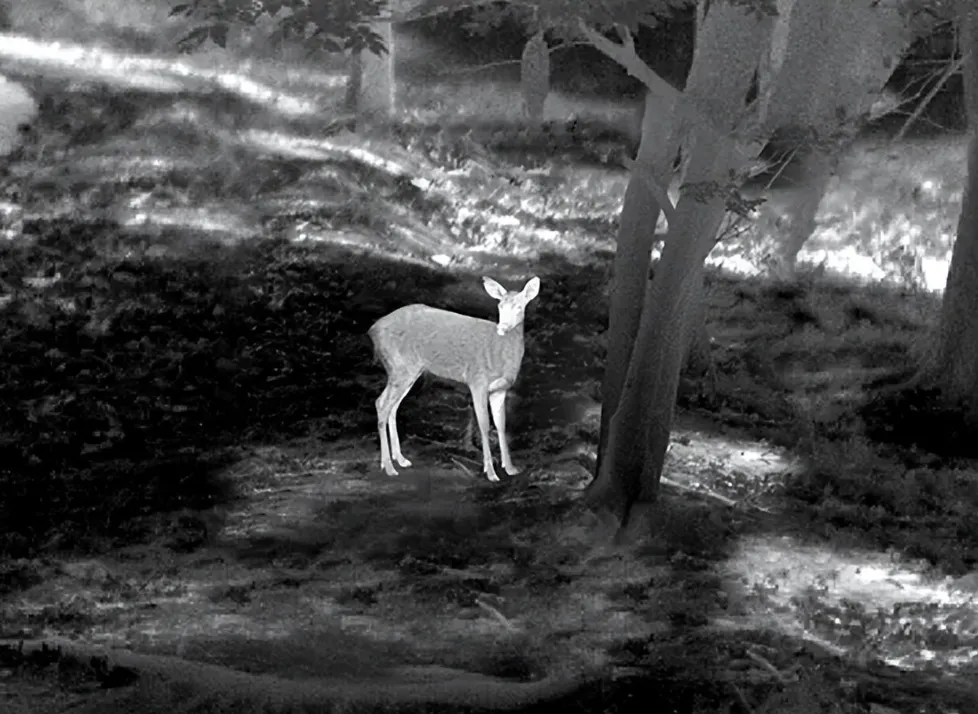 When Choosing A Thermal Imaging Camera For Outdoor Hunting
